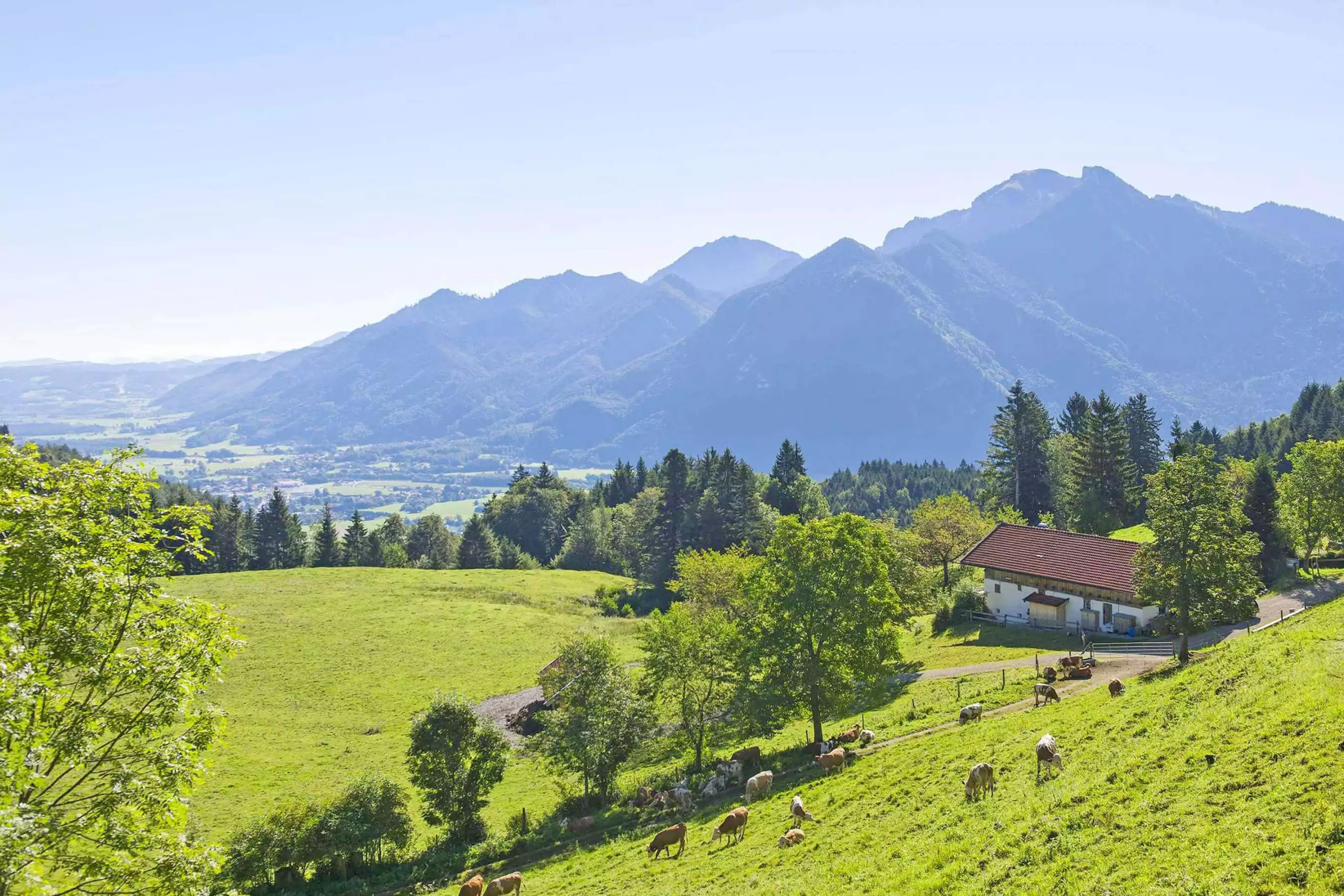 Traumhafte Natur in den Chiemgauer Alpen